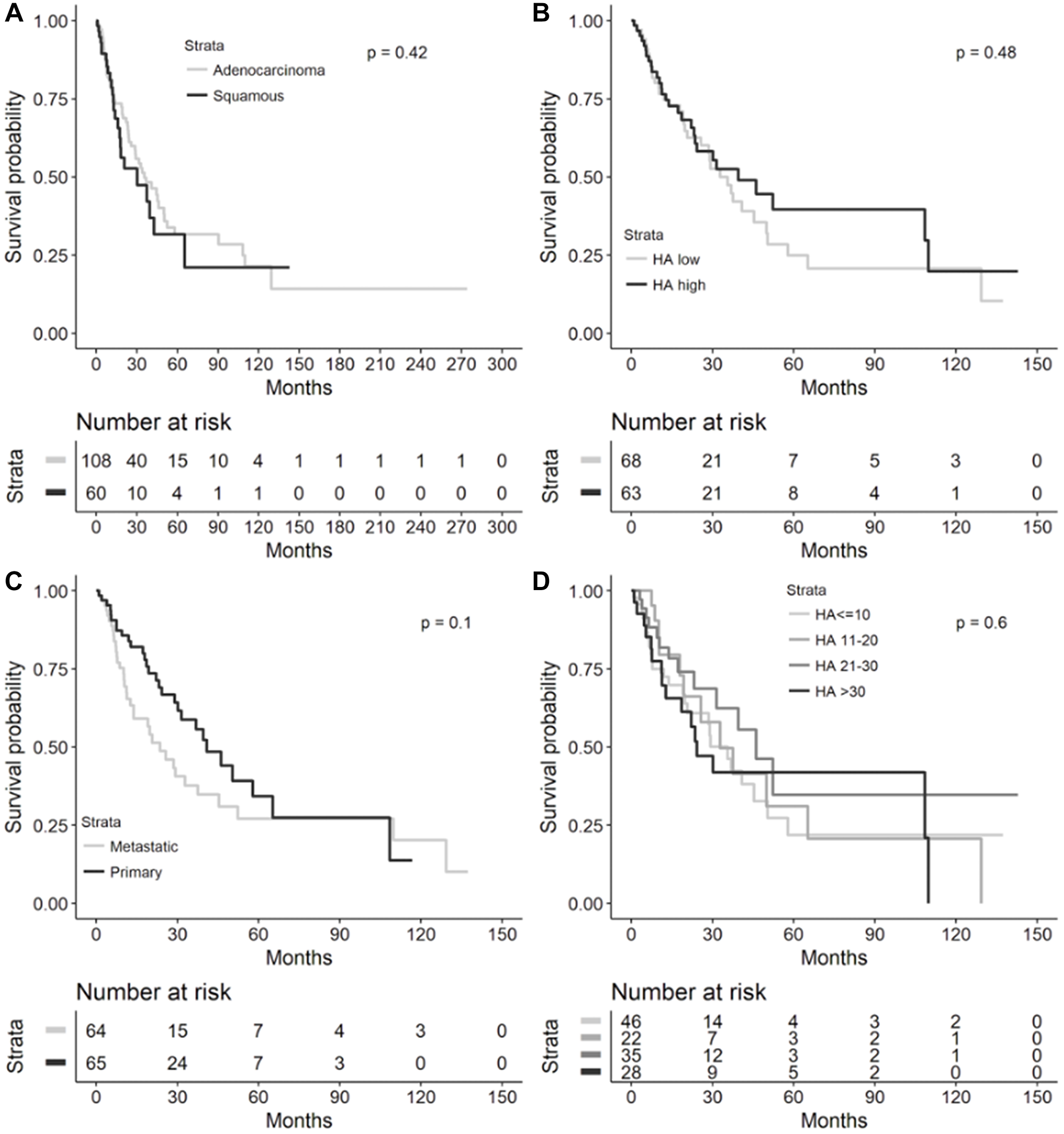Overall survival in overall NSCLC cohort