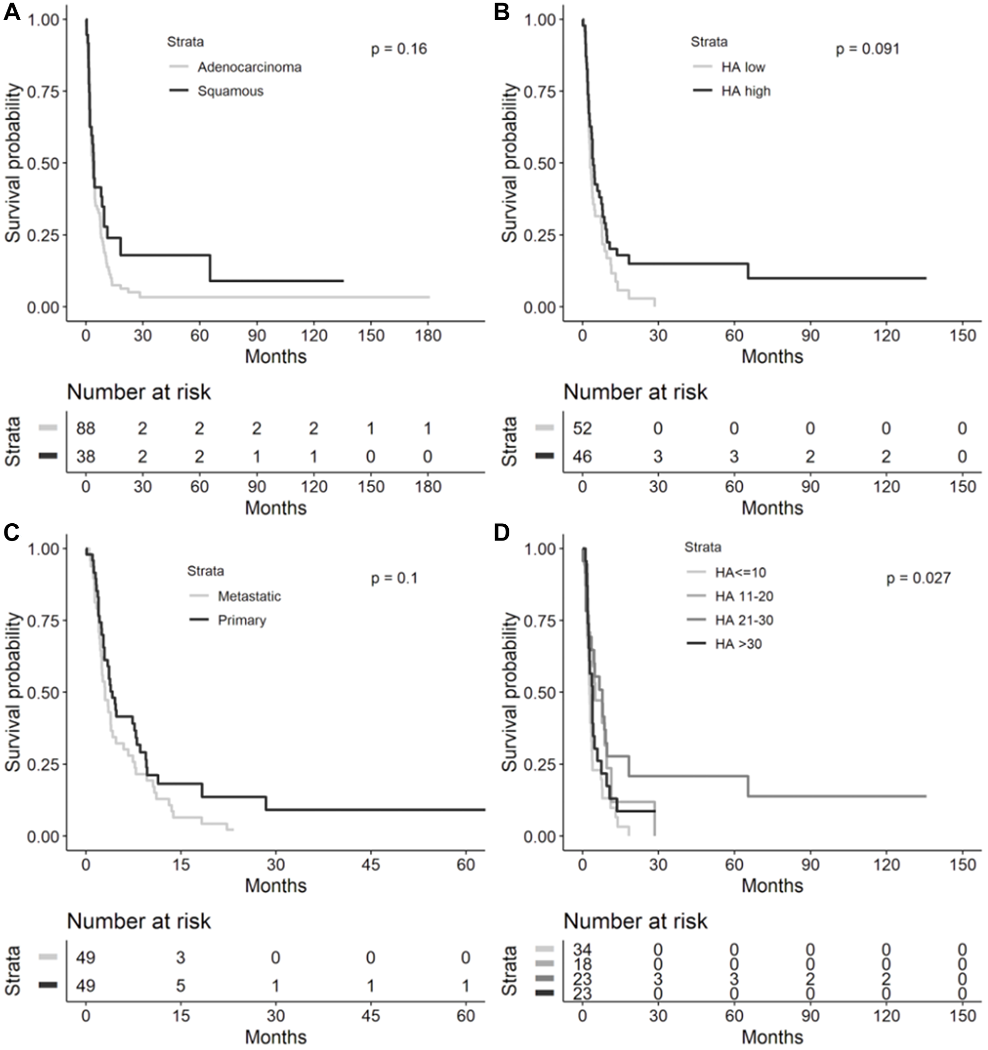 Time to progression in overall NSCLC cohort