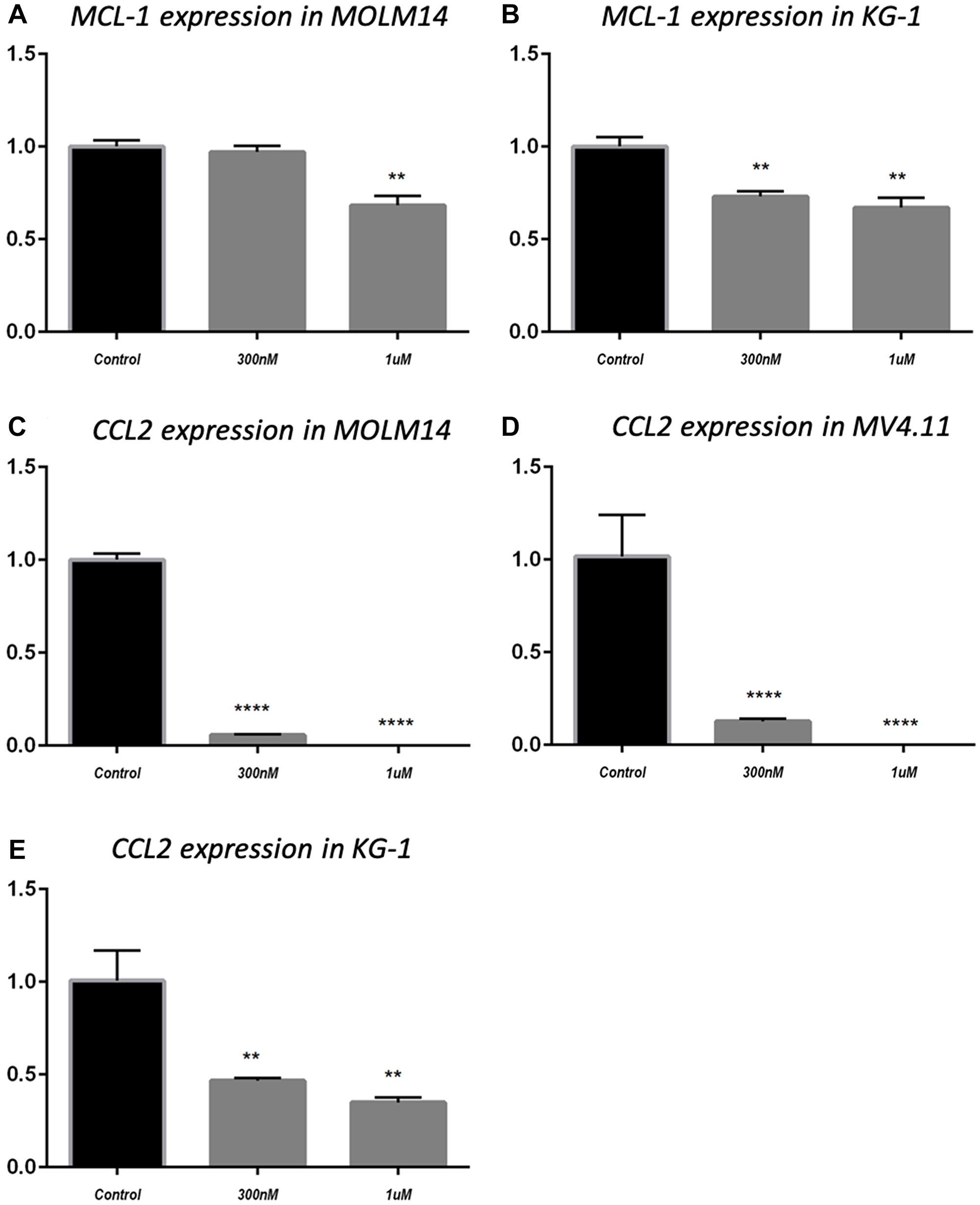 MCL-1 mRNA expression in MOLM14 cell line (A) and KG-1 cell line (B); CCL2 mRNA expression in MOLM14 cell line (C), MV4.11 cell line (D) and KG-1 cell line (E). **P $!--ESC