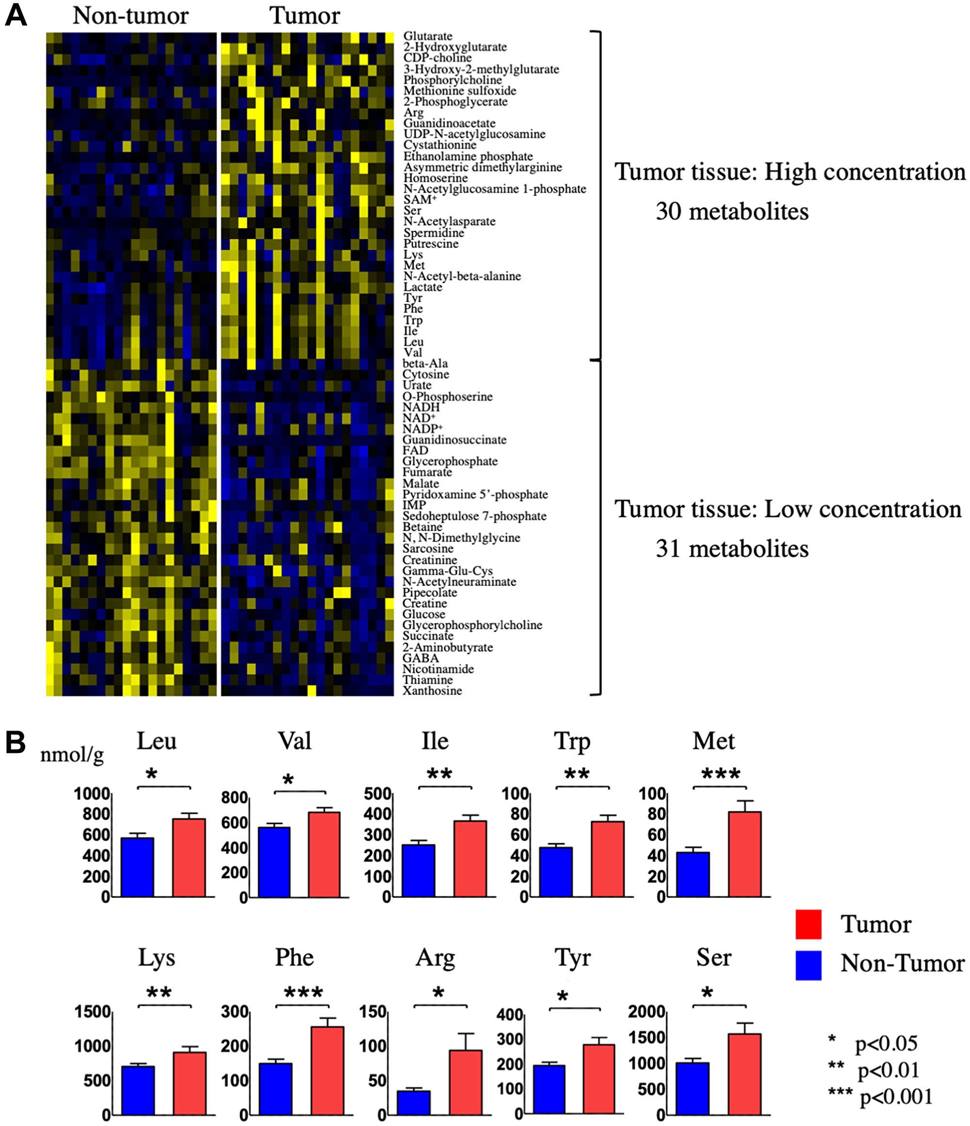 Identification and quantification of metabolites in tumor and non-tumor tissues from HCC patients
