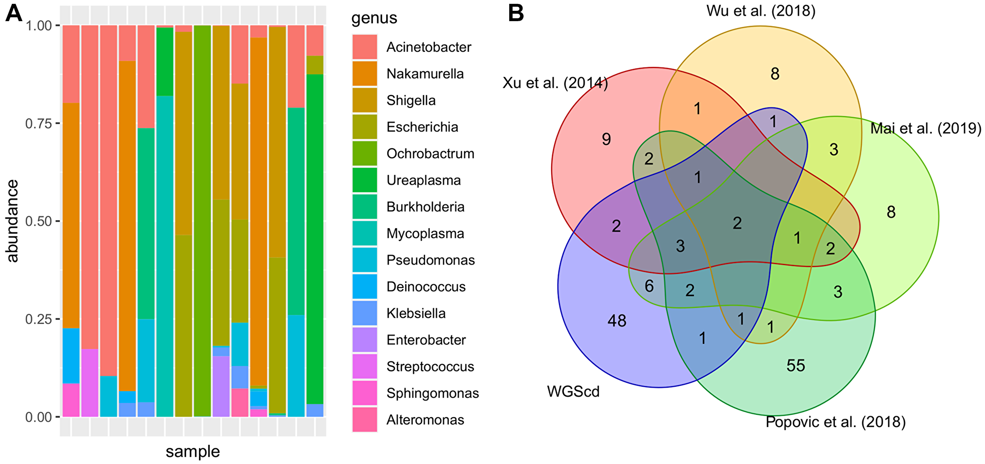 Most abundant bacteria taxa found in bladder analysis
