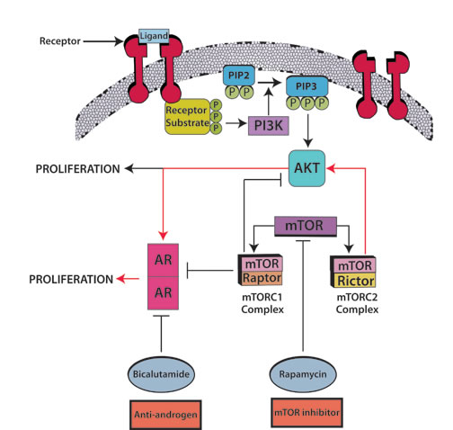 fig3