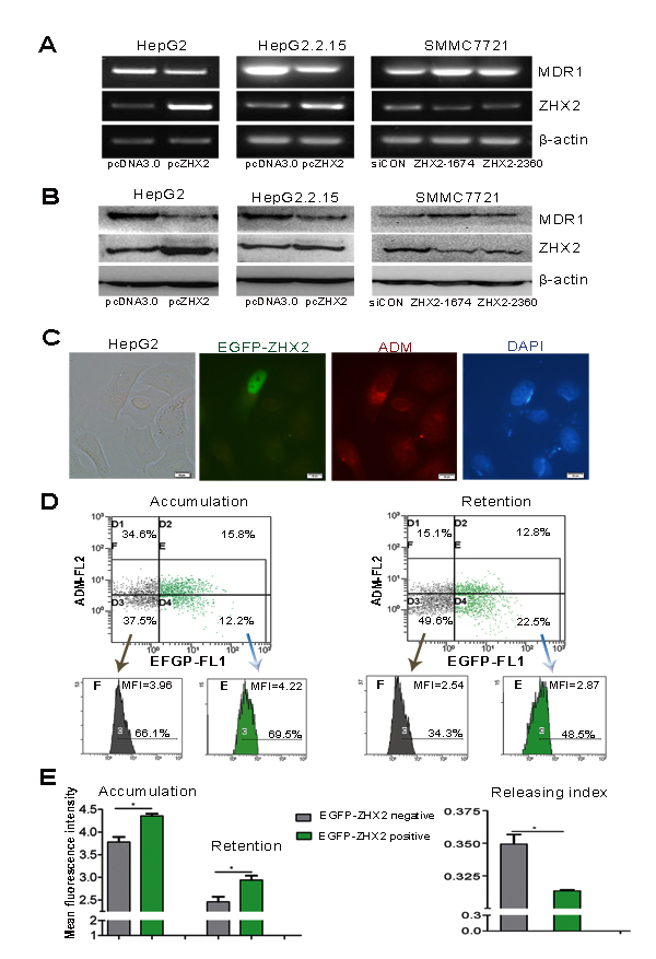 fig2
