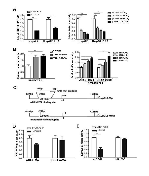 fig6