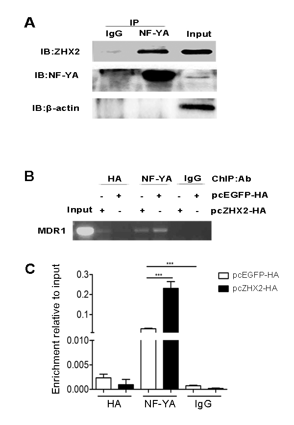 fig7