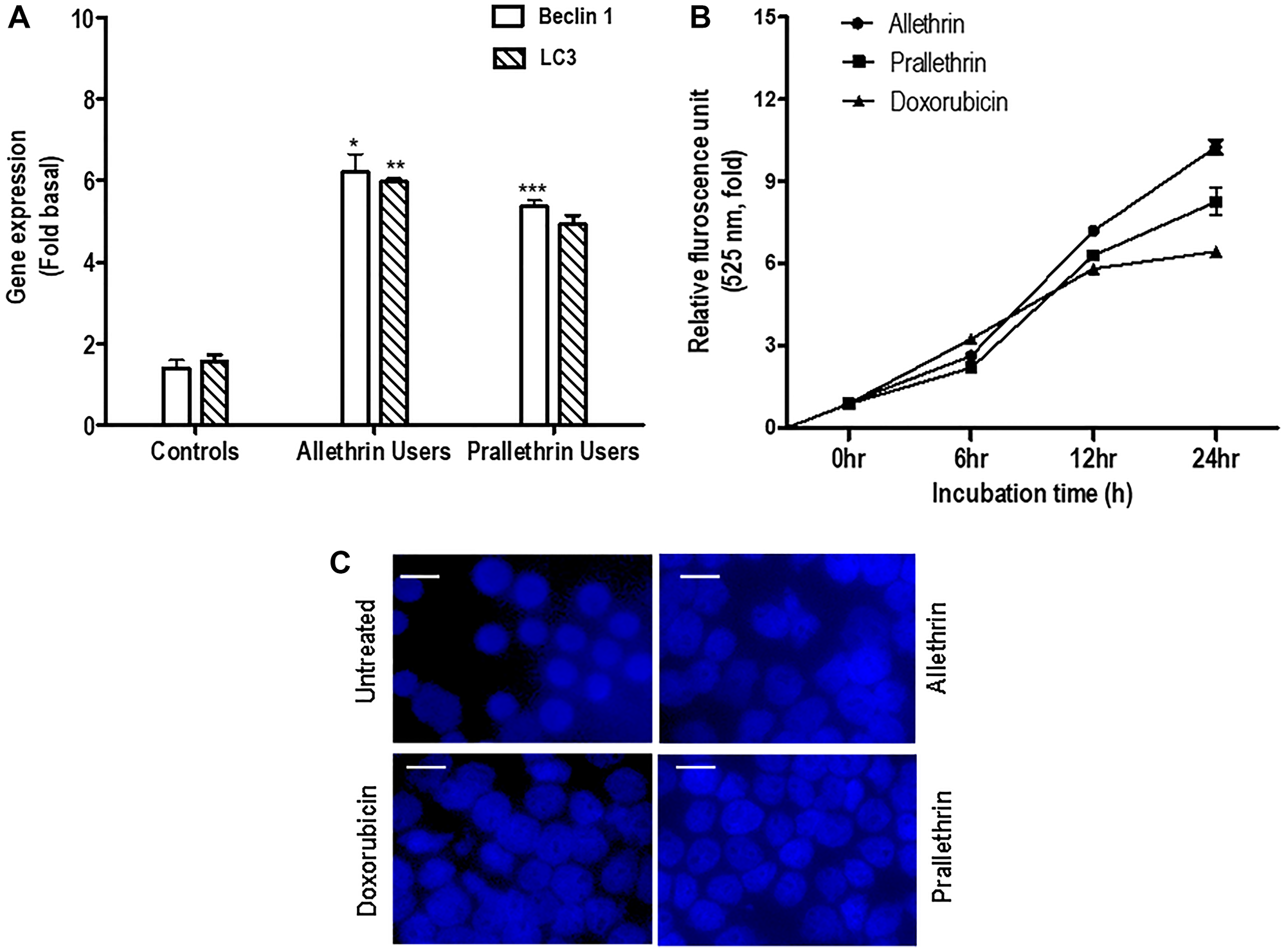 The effect of pyrethroid derivatives on induction of autophagy