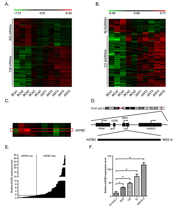 fig1