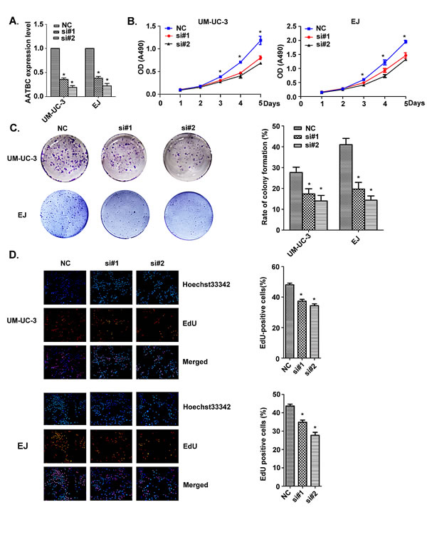 fig2