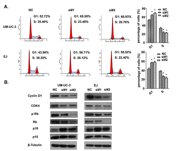 fig3