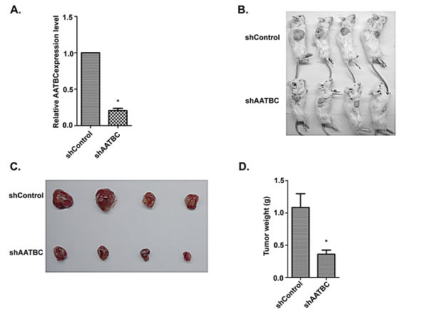 fig4