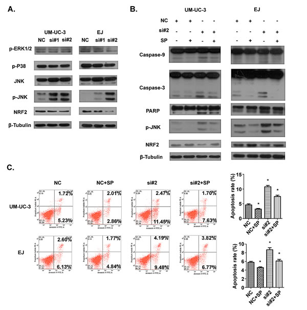 fig6