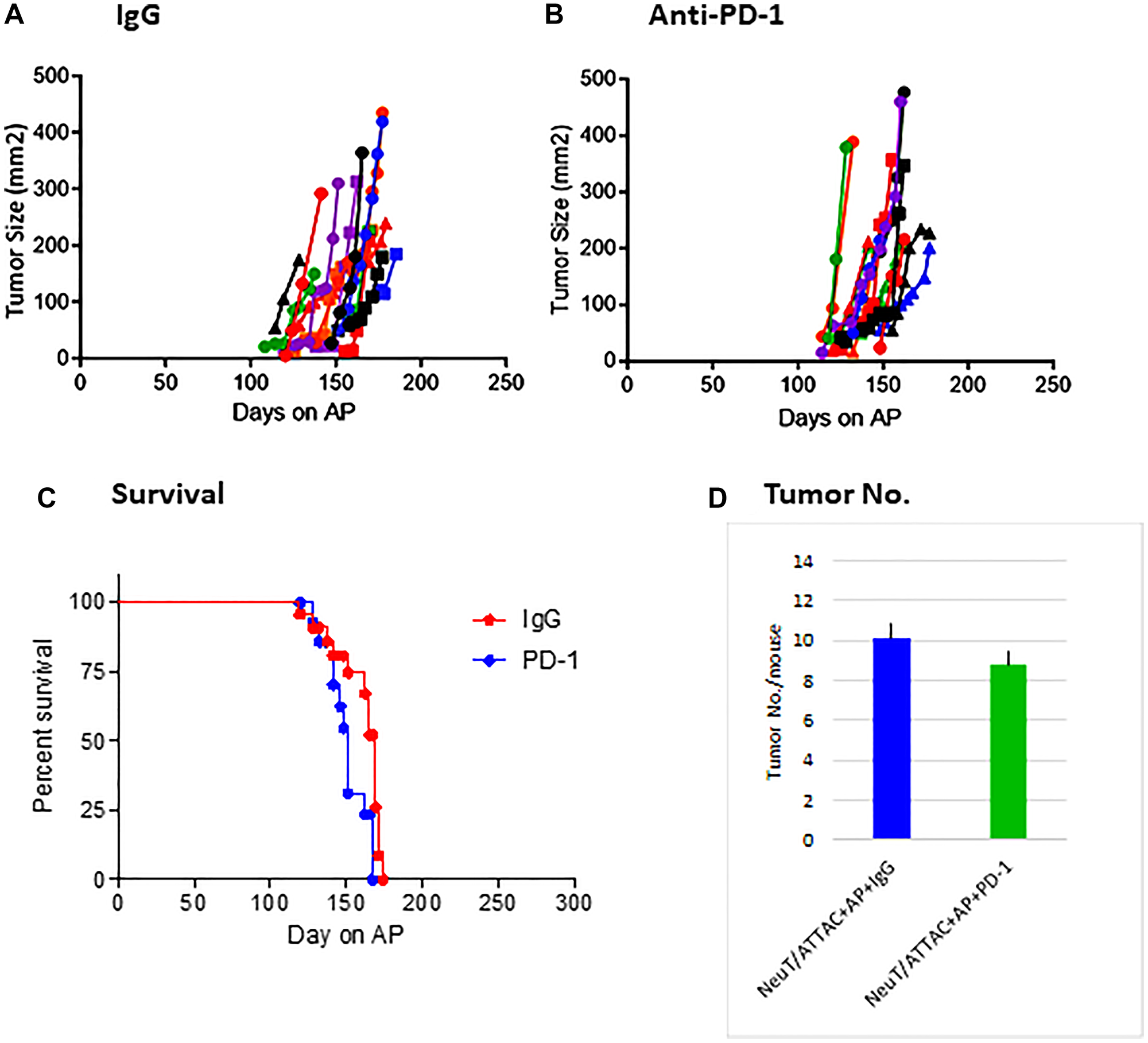 Effect of anti-PD-1 mAb treatment on tumorigenesis in NeuT/ATTAC mice