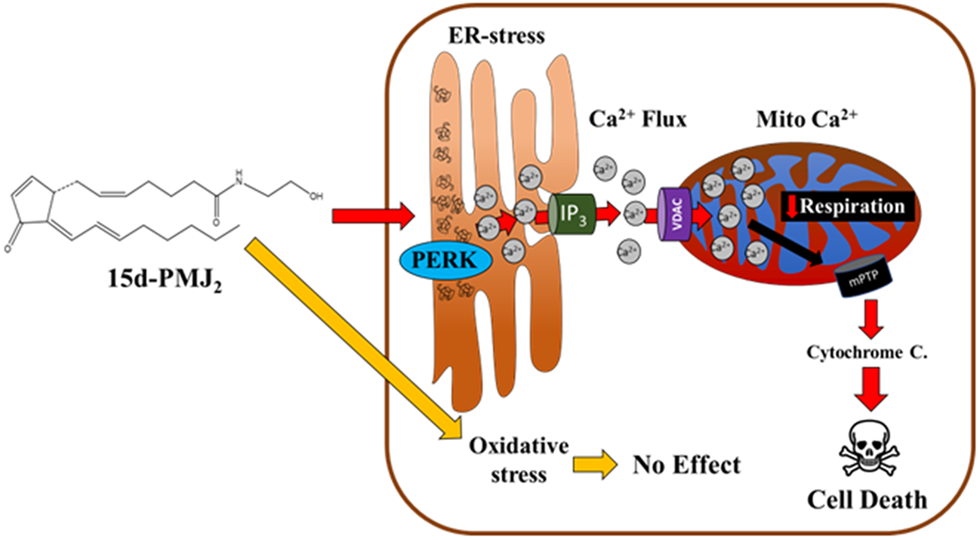 Proposed mechanism of 15d-PMJ2-mediated apoptosis