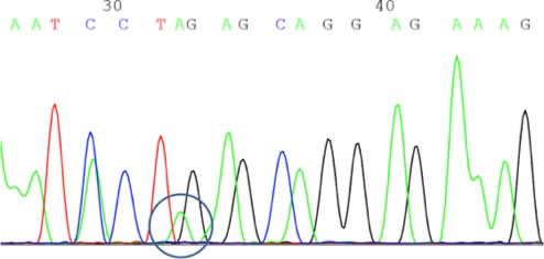 fig2