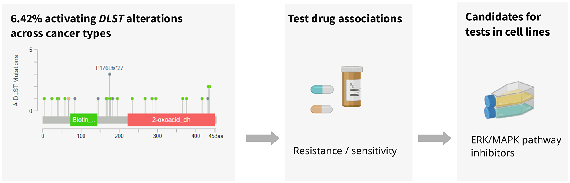 Analysis of DLST-activated cell lines revealed sensitivity to protein kinase inhibiting the ERK/MAPK pathway