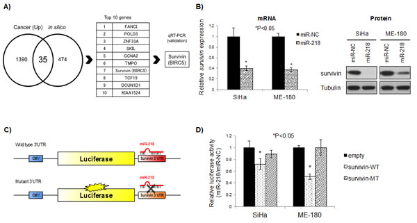 fig3