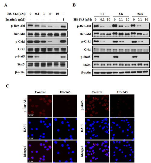 fig3