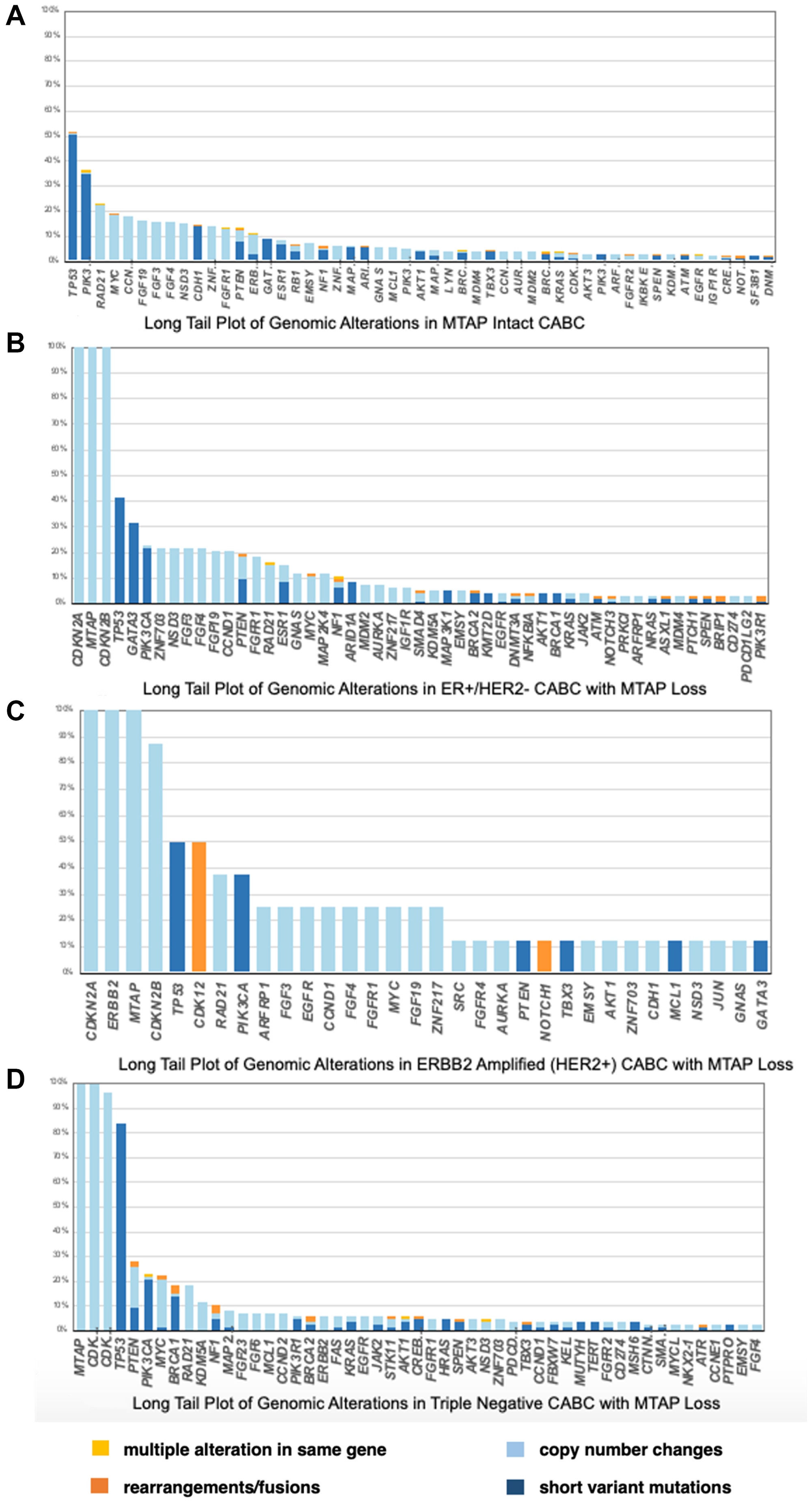 (A) Long Tail Plot of Genomic Alterations in MTAP Intact clinically advanced breast cancer. (B) Long Tail Plot of Genomic Alterations in ER+/HER2− clinically advanced breast cancer with MTAP Loss. (C) Long Tail Plot of Genomic Alterations in ERBB2 Amplified (HER2+) clinically advanced breast cancer with MTAP Loss. (D) Long Tail Plot of Genomic Alterations in Triple Negative clinically advanced breast cancer with MTAP Loss.