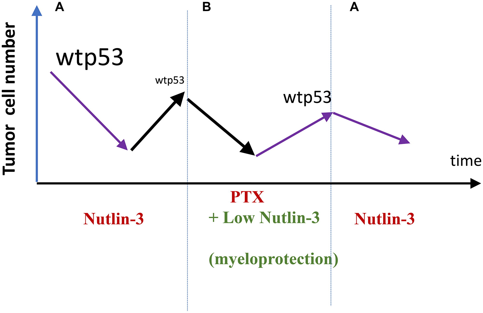 Exploiting selection for resistance for (and against) nutlin-3 (proposal)