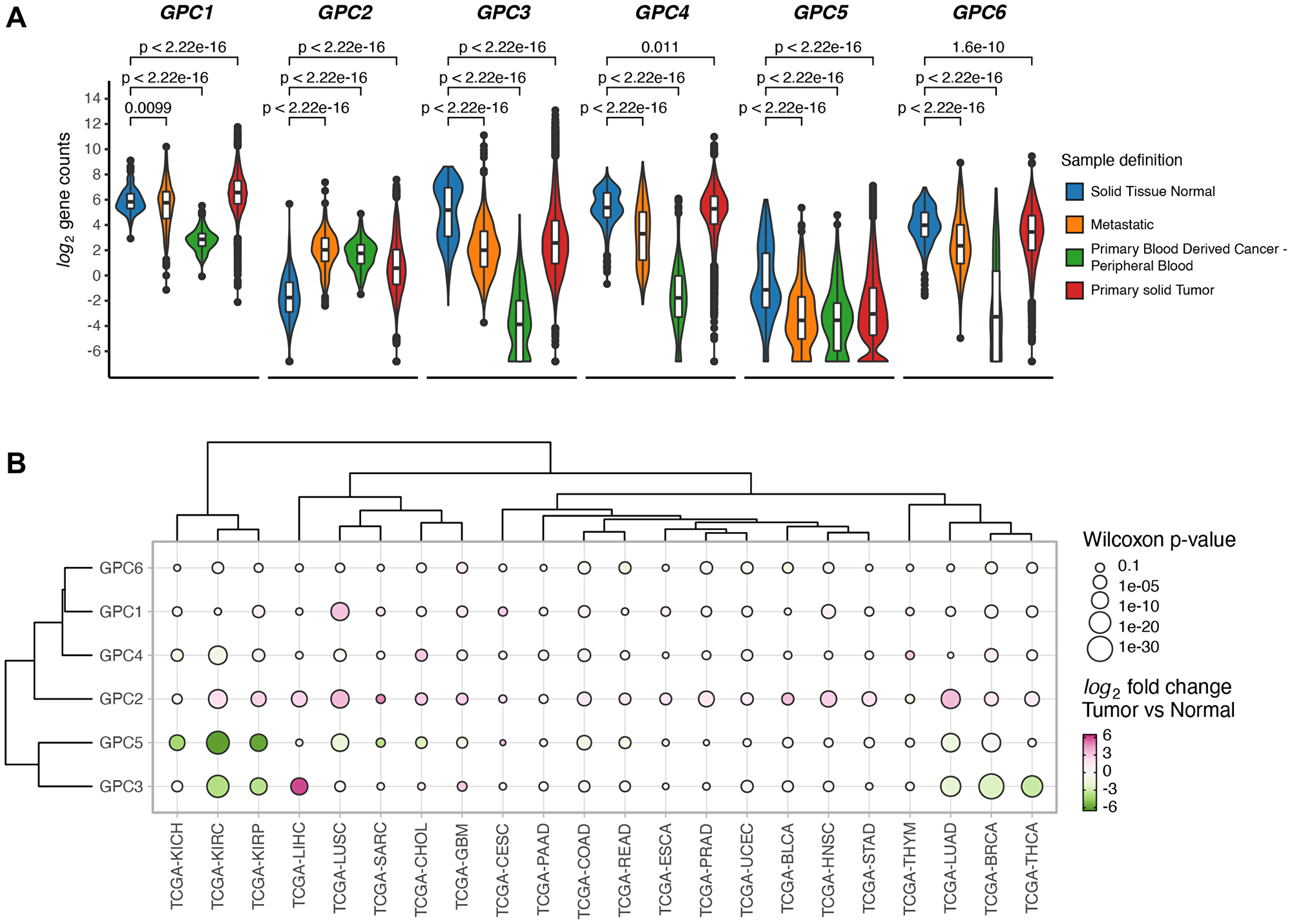 GPCs display sample specific and cancer type specific gene expression differences