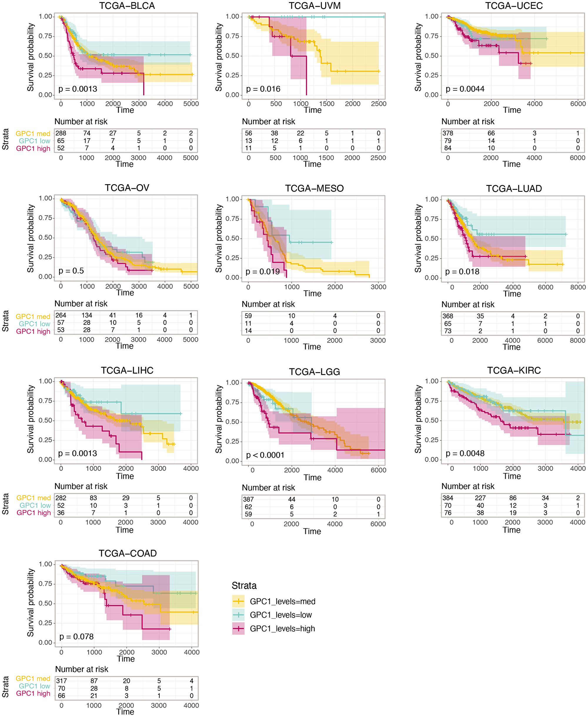 Kaplan-Meier curves of the survival probability of GPC1 expression strata in indicated TCGA projects where higher expression level is associated with poor prognosis in these particular cancer types