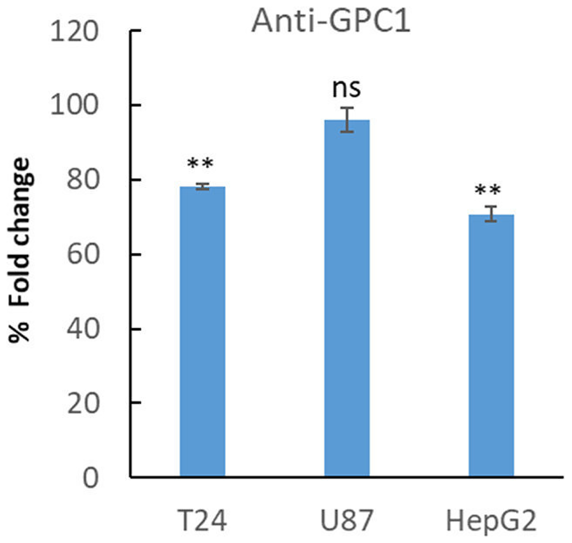 Treatment with anti-GPC1 antibody lowered proliferation of T24 and HepG2 cells