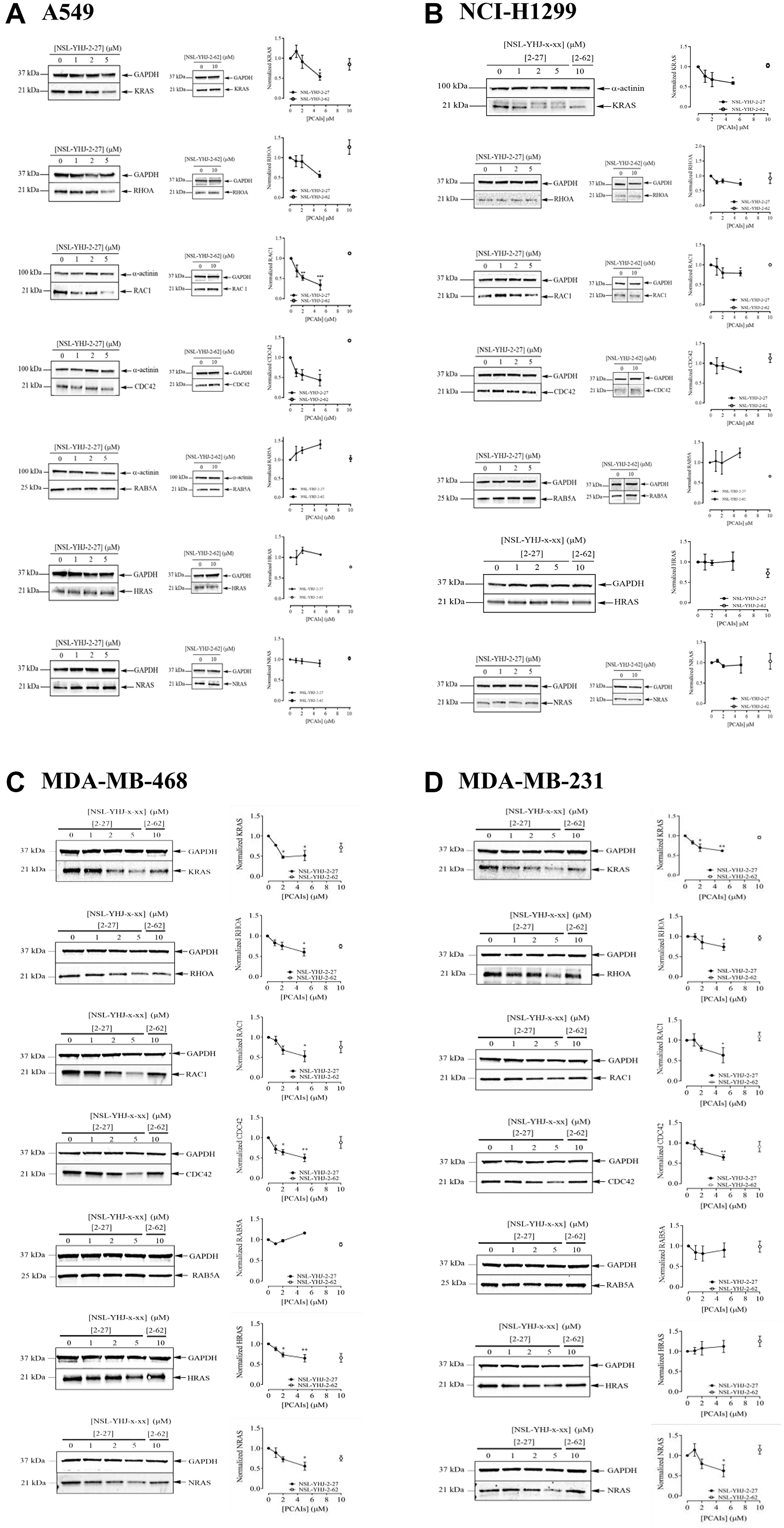 The effect of PCAIs on G-protein levels