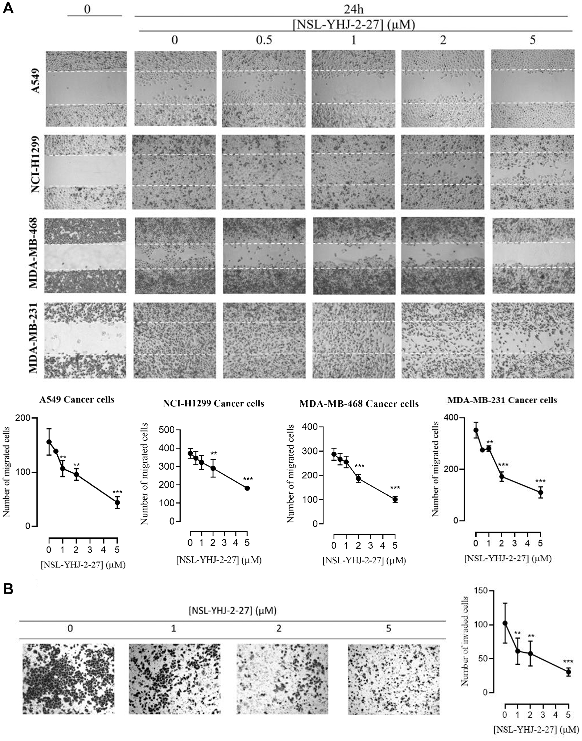 NSL-YHJ-2-27 suppresses cancer cell migration and invasion