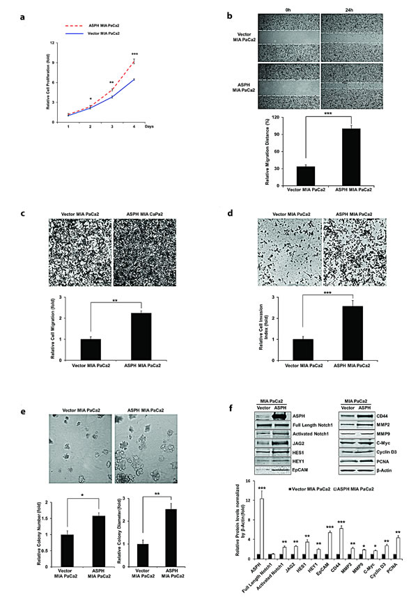 fig2