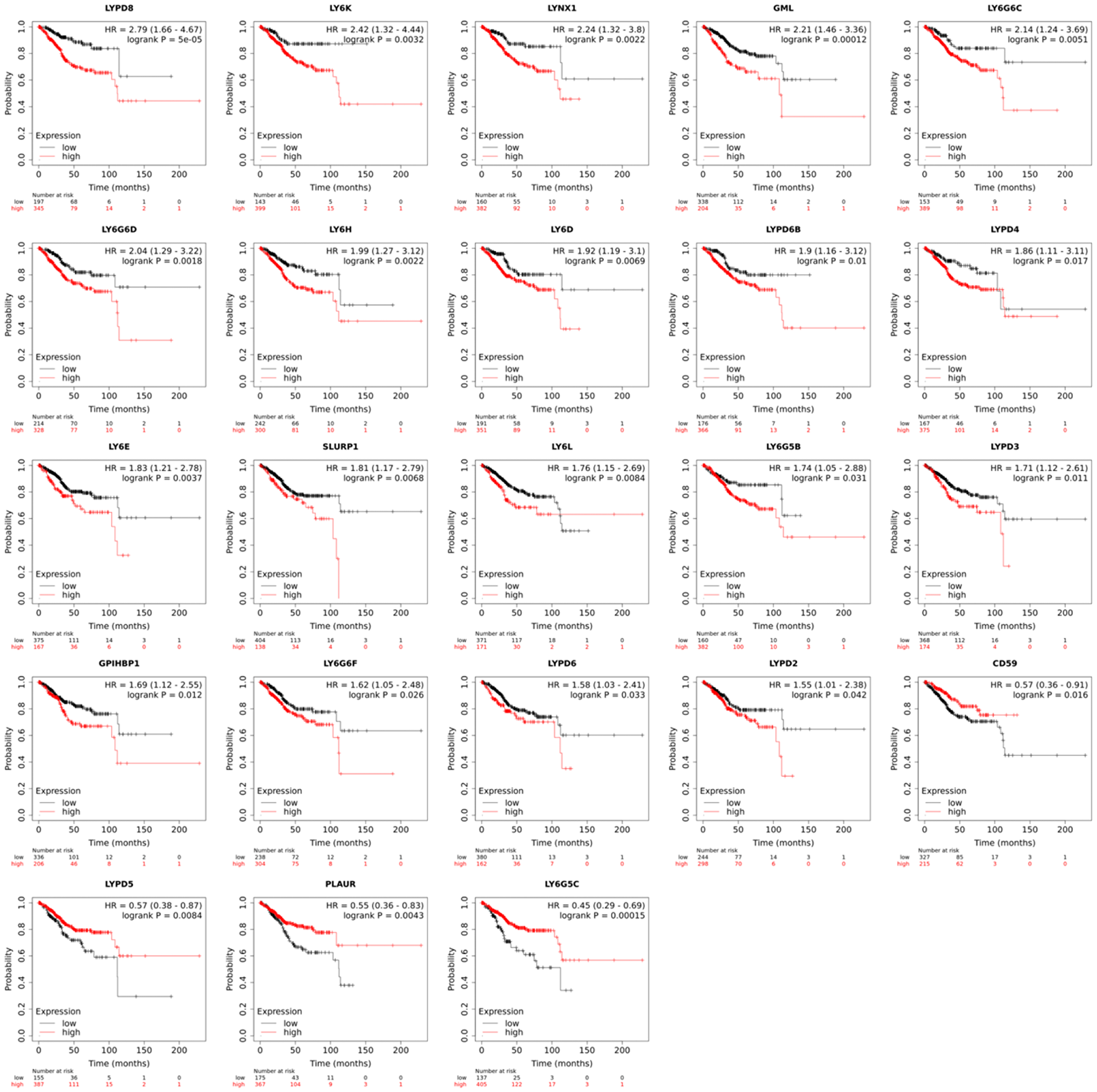 Overall patient survival in uterine corpus endometrial carcinoma (n = 543) based on high and low mRNA expression of a given human LY6 gene