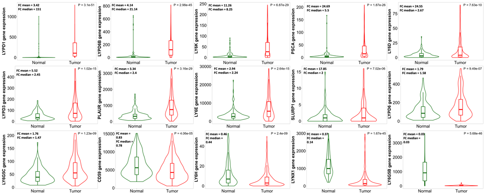 Comparison of human LY6 gene expression in normal uterine tissue (n = 146) to expression in uterine corpus endometrial carcinoma (n = 547)