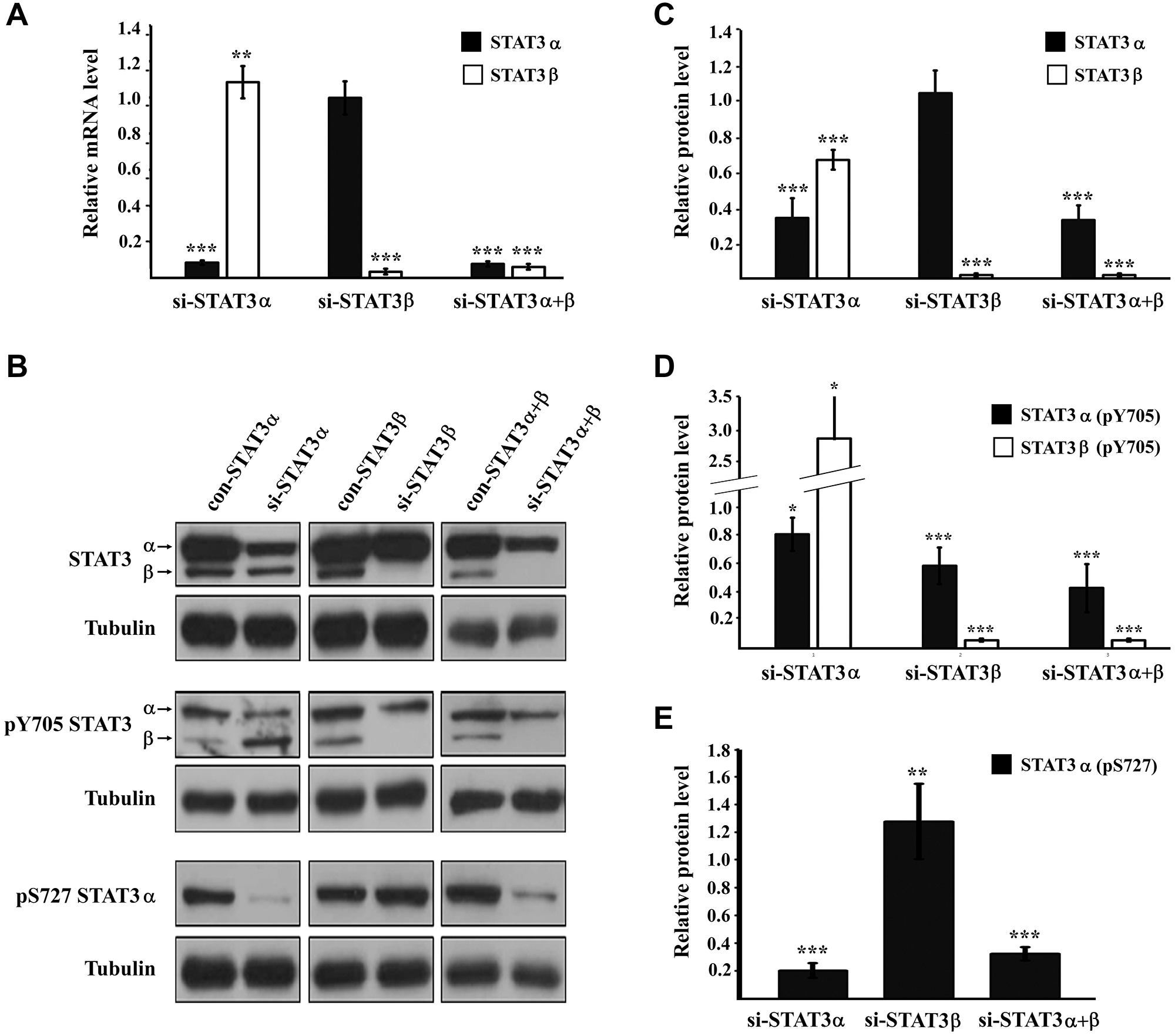 STAT3 expression and activation upon mRNA silencing (A) Relative expression of the mRNA of STAT3 isoforms evaluated by RQ-PCR. Results were normalized to those obtained upon transfection with the relevant negative control siRNA that was set to 1. (B) Western blot analysis of cells transfected with the indicated siRNA. Proteins were probed with anti-STAT3, anti-pY705 STAT3, anti-pS727 STAT3 or anti-αTubulin antibody. (C) Relative protein quantification of STAT3 in (B). (D) Relative protein quantification of pY705 STAT3 in (B). (E) Relative protein quantification of pS727 STAT3 in (B). All protein quantifications were performed with the ImageJ software. The protein amount obtained in the relevant control transfection was set to1. Results are the mean of at least three repeats of each experiment ± SD. *P ≤ 0.05; **P ≤ 0.01; ***P ≤ 0.001.