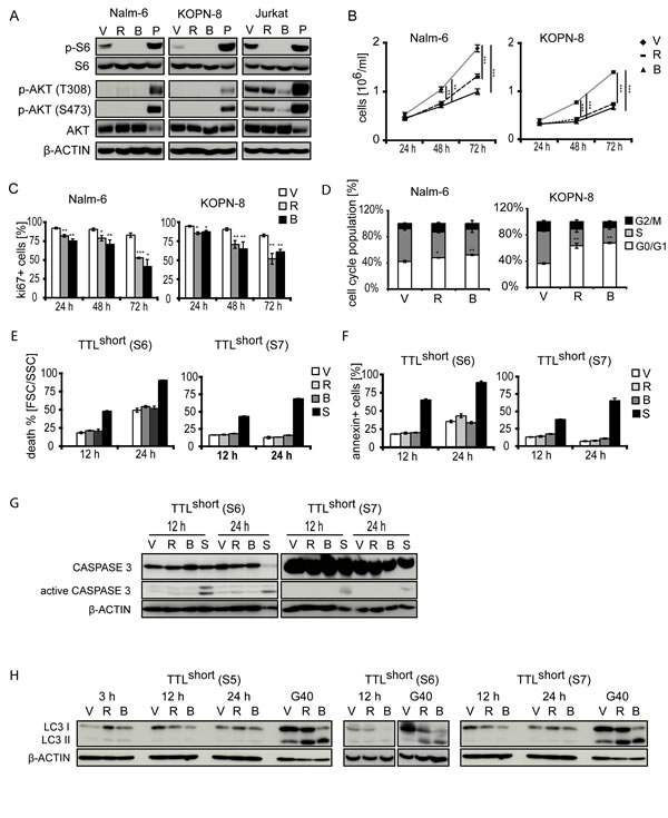 fig3