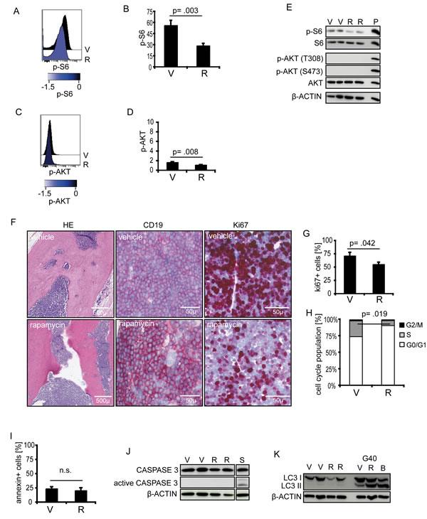 fig4