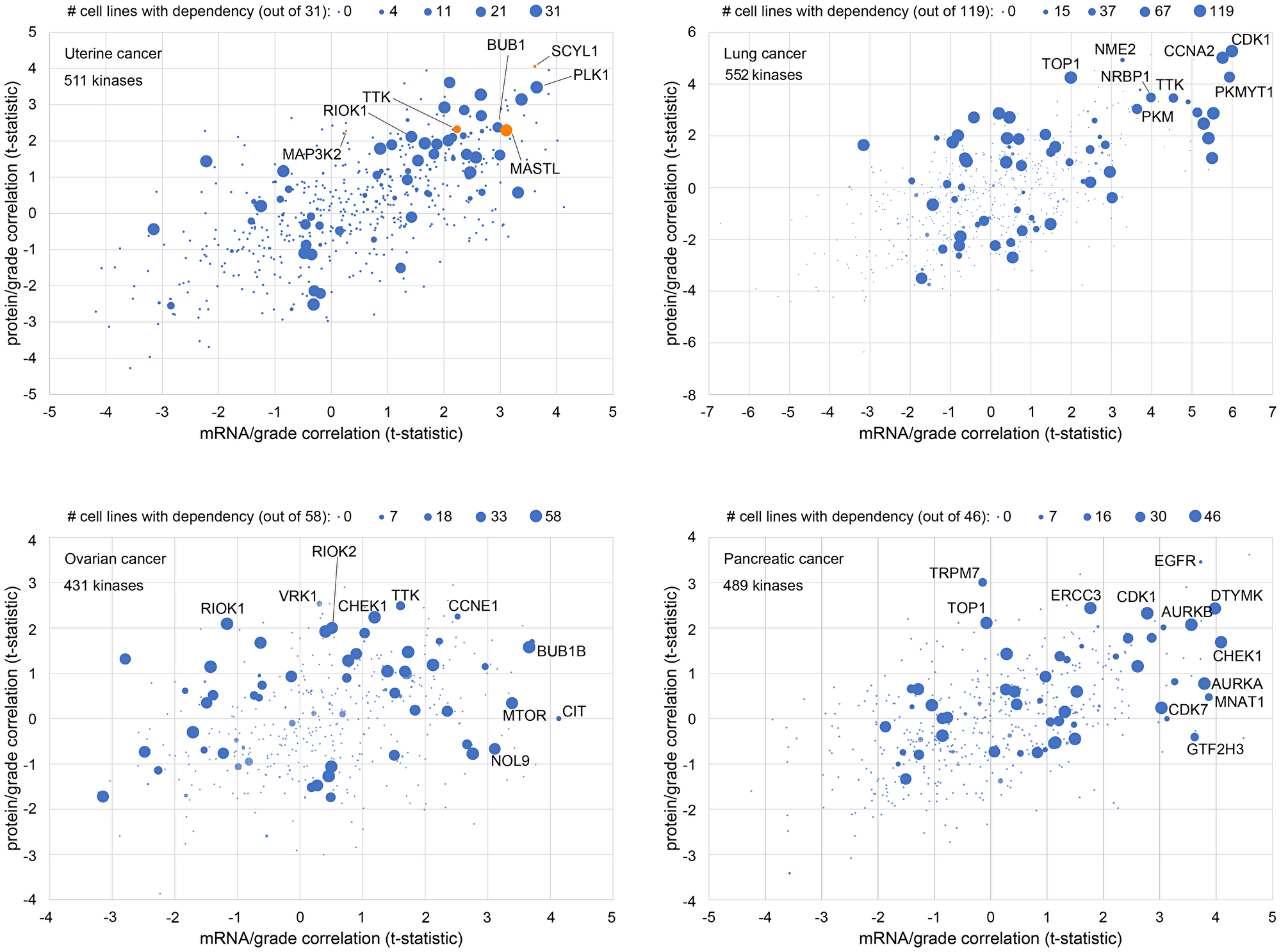 Combined analysis of kinase expression in tumors with cell line dependency to identify new gene targets