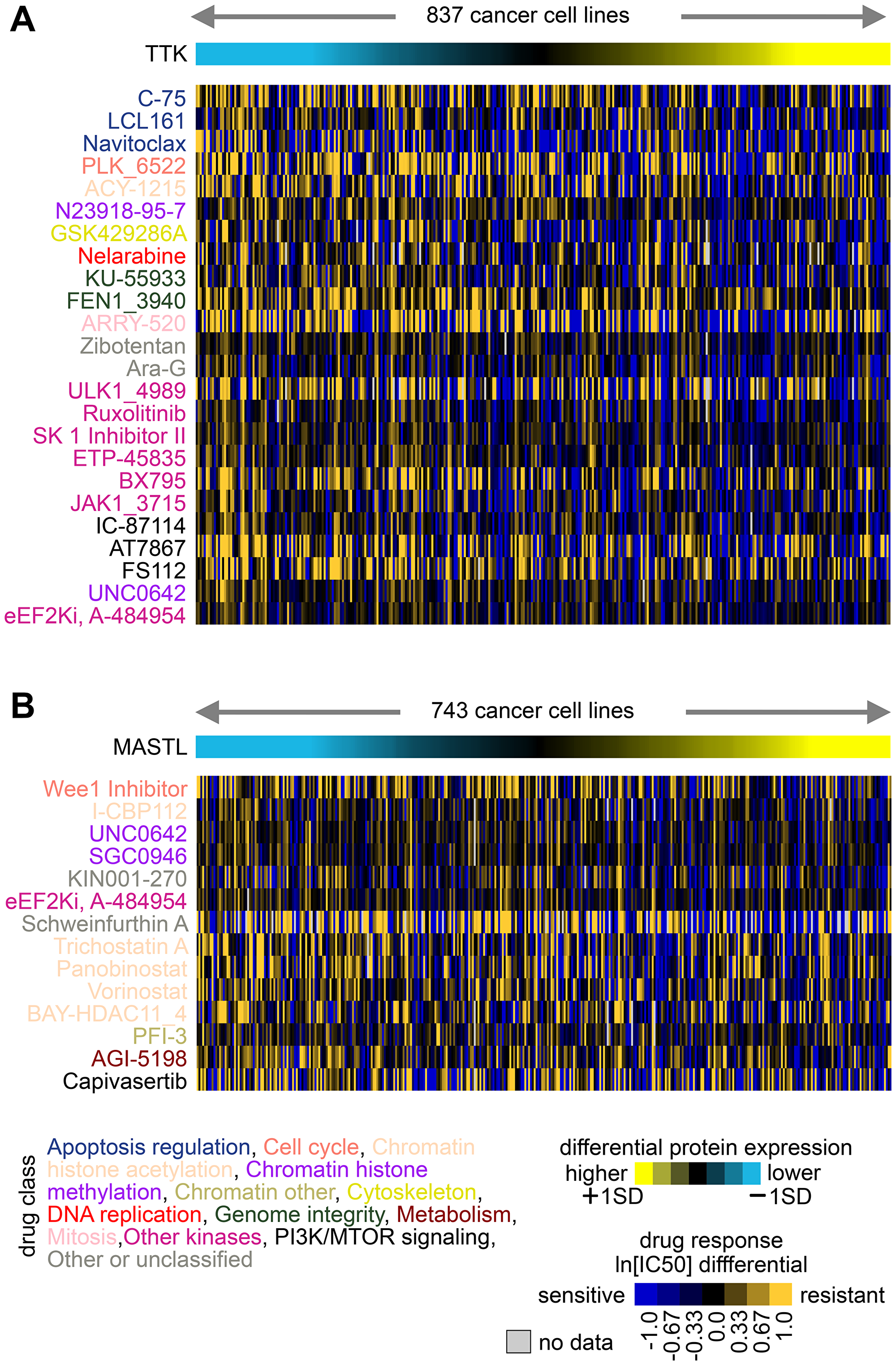 Associations of TTK and MASTL protein expression with drug responses across cancer cell lines