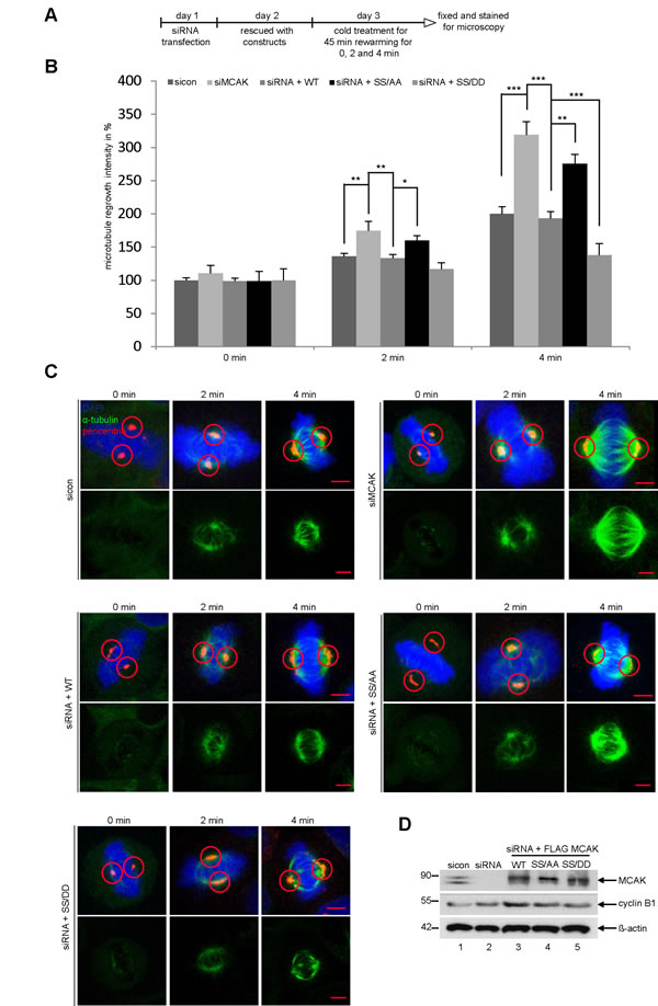 fig3