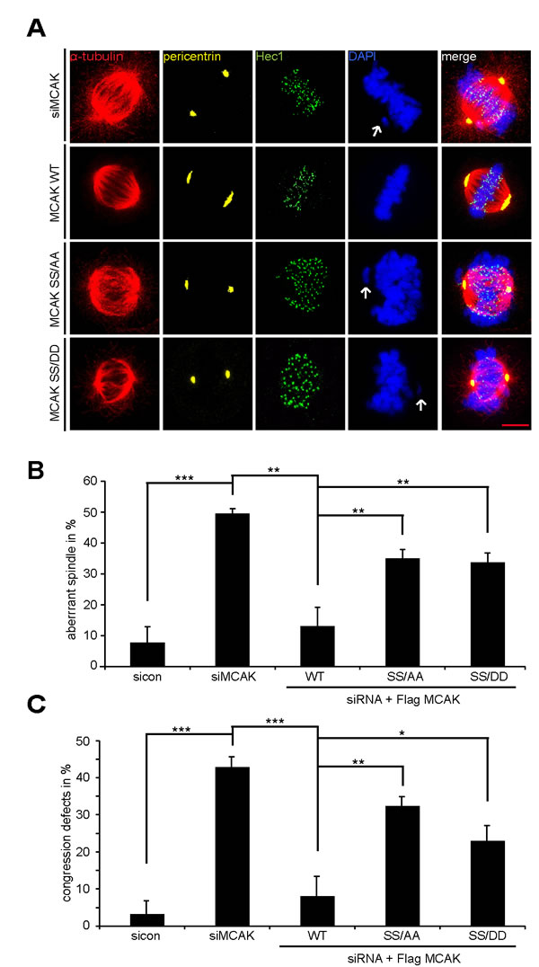 fig6