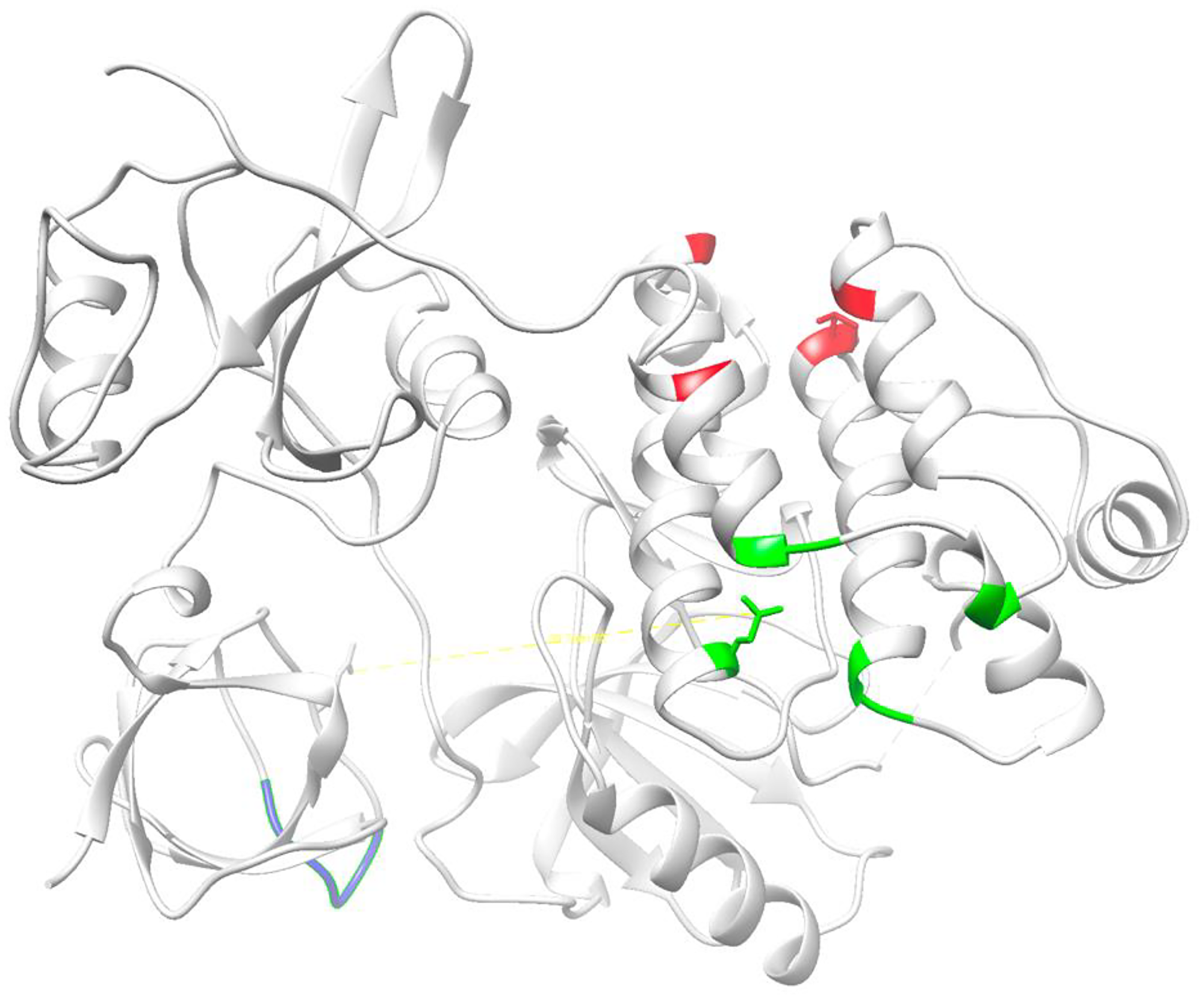 Proposed binding sites for the myristoylated N-terminal SH4 domain on the globular domains of Src based on experimental evidence provided by Ahler et al. [41] (red); Spassov et al. [46] (green); and Le Roux et al. [22, 40] (blue)