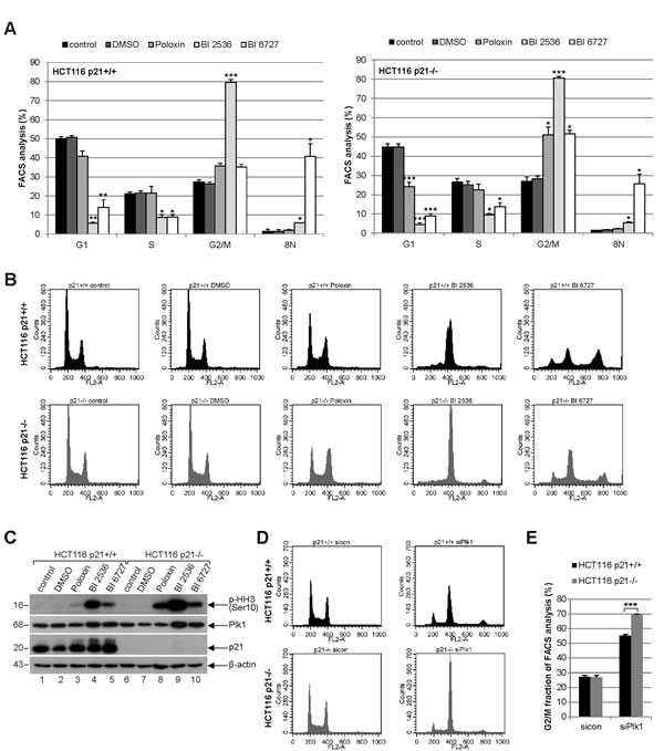 fig2