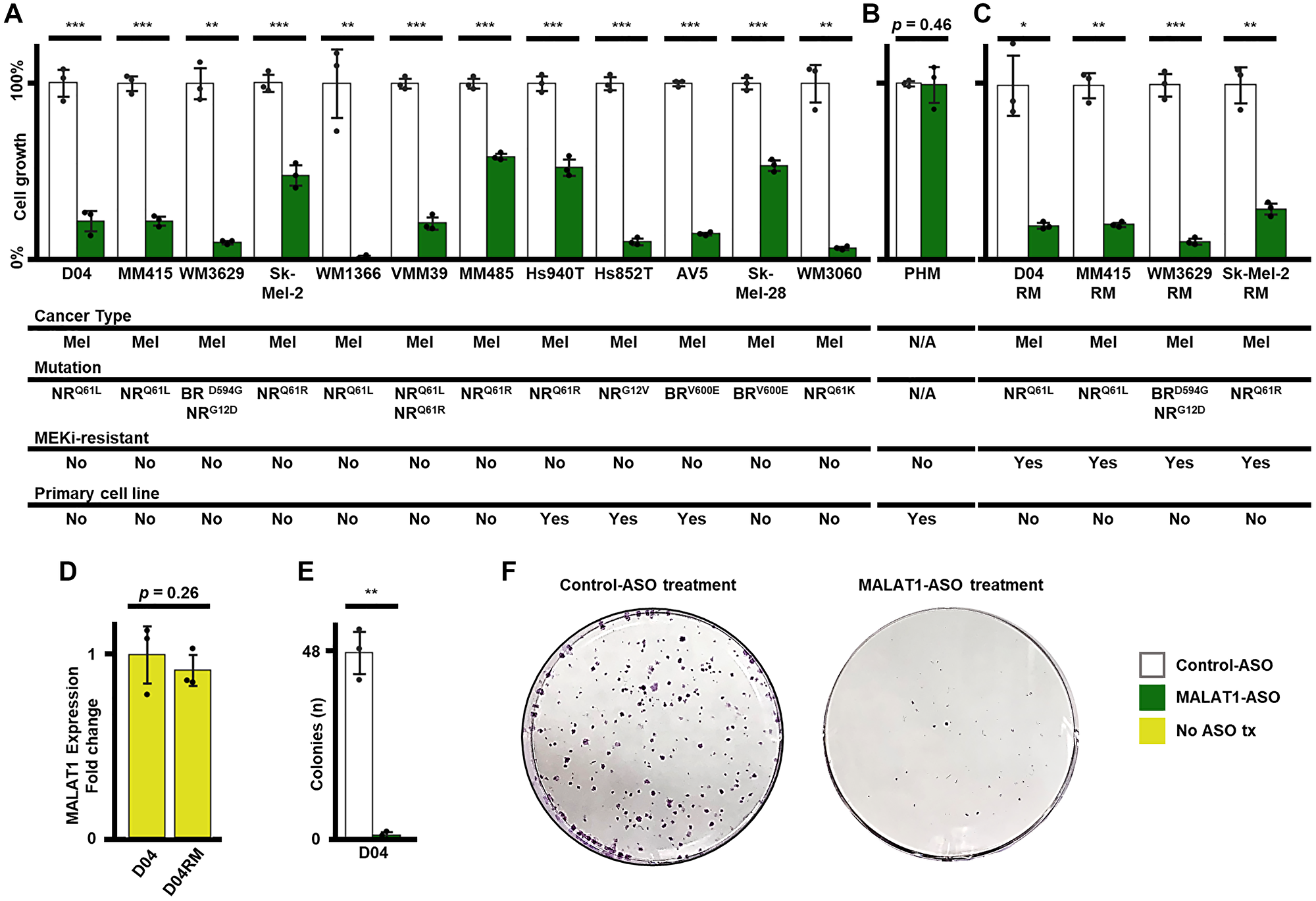 MALAT1-ASO treatment significantly reduces cell-growth in NRAS (NR) and BRAF (BR) mutated melanoma (mel) cells