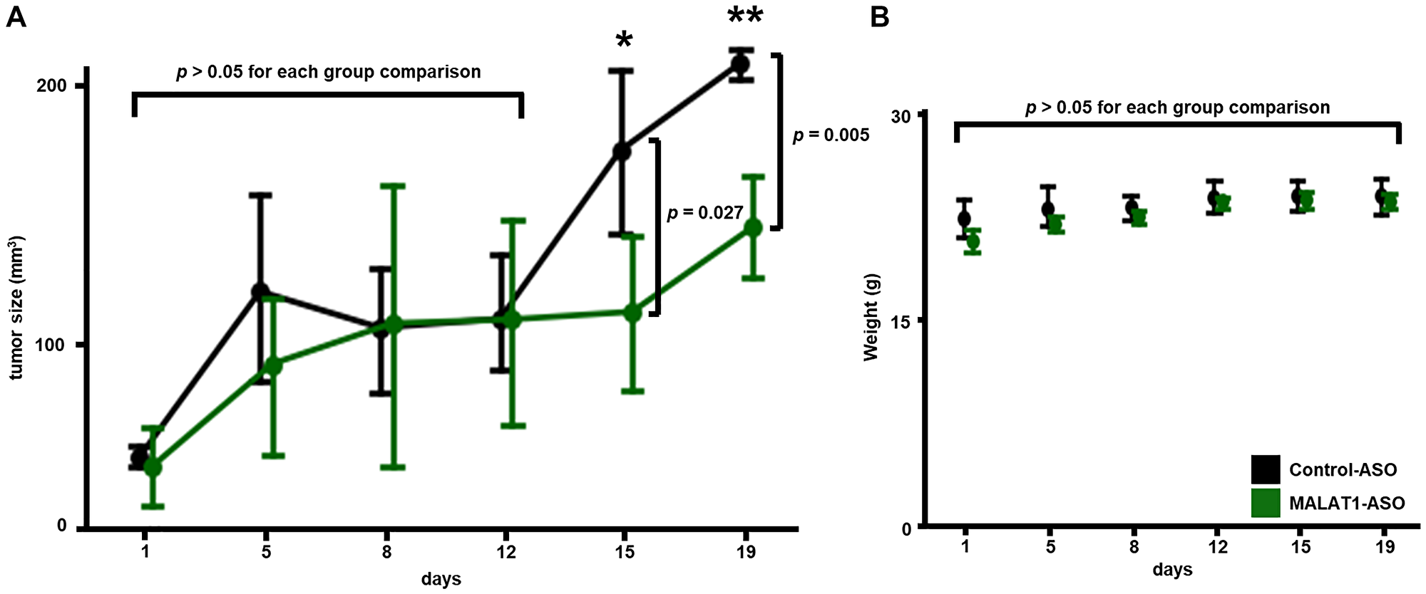 MALAT1-ASO treatment inhibits tumor growth in vivo and does not cause weight loss