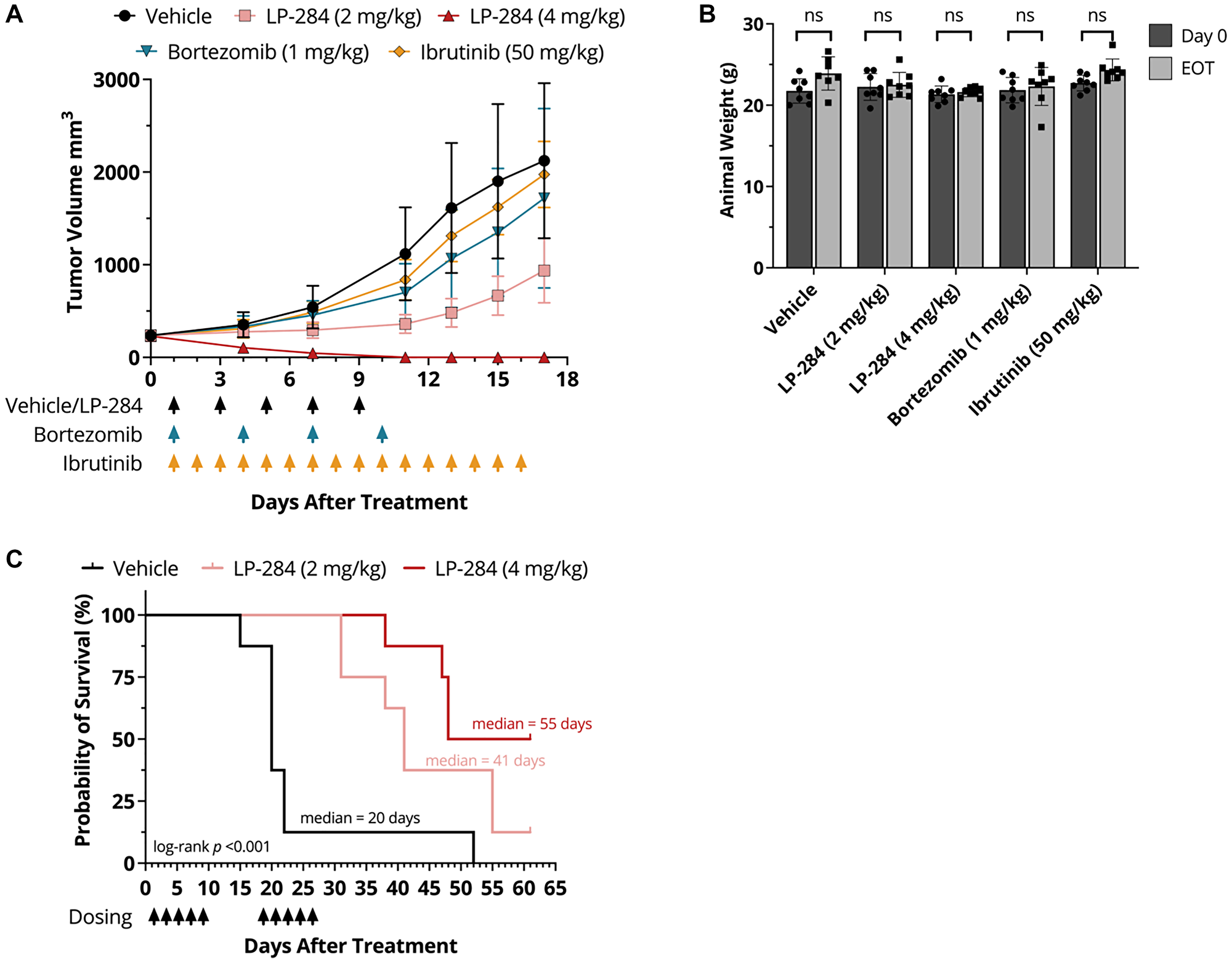 LP-284 outperforms bortezomib and ibrutinib and prolongs the survival of MCL xenograft mice