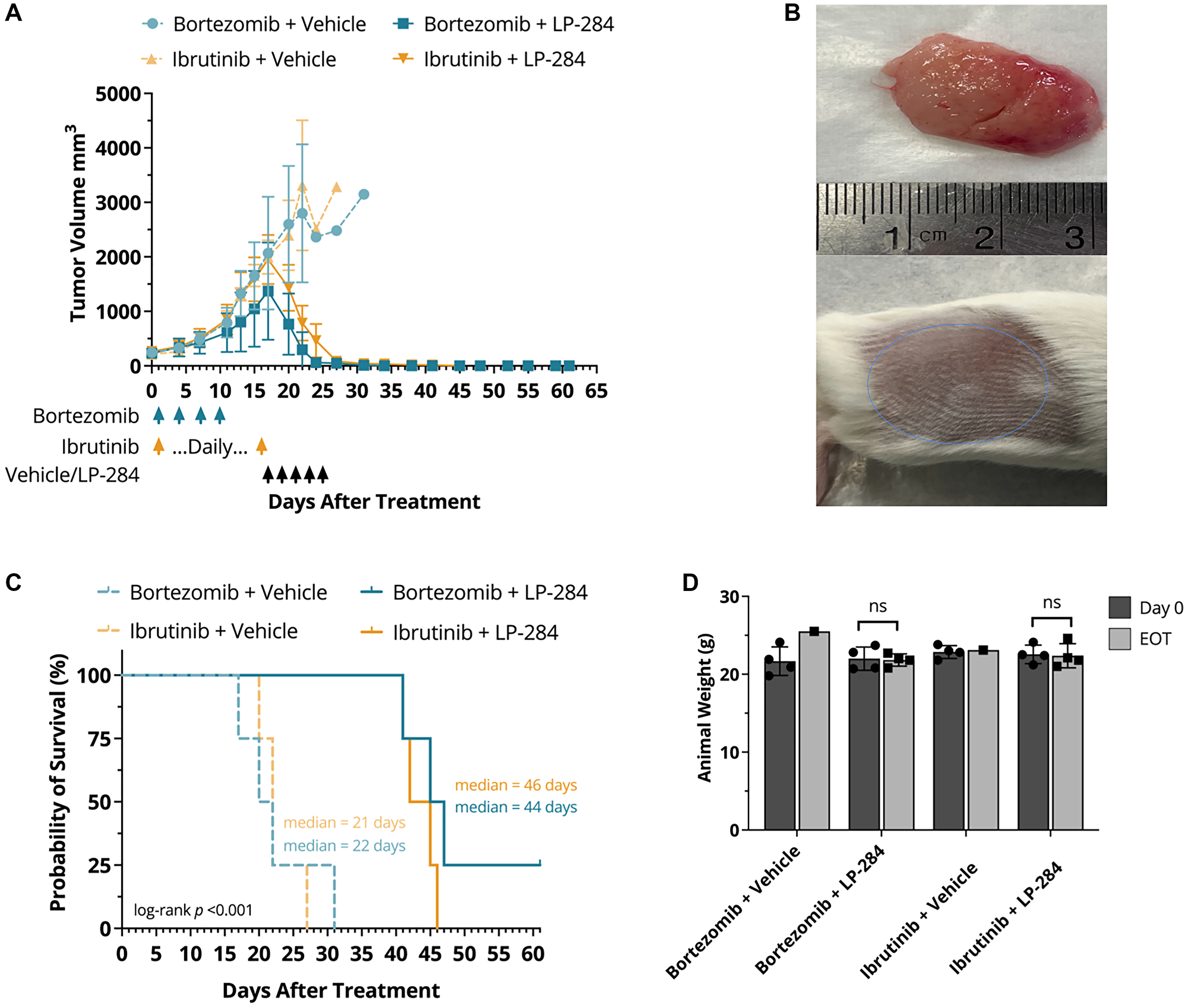 LP-284 rescues bortezomib-refractory and ibrutinib-refractory MCL xenograft mice