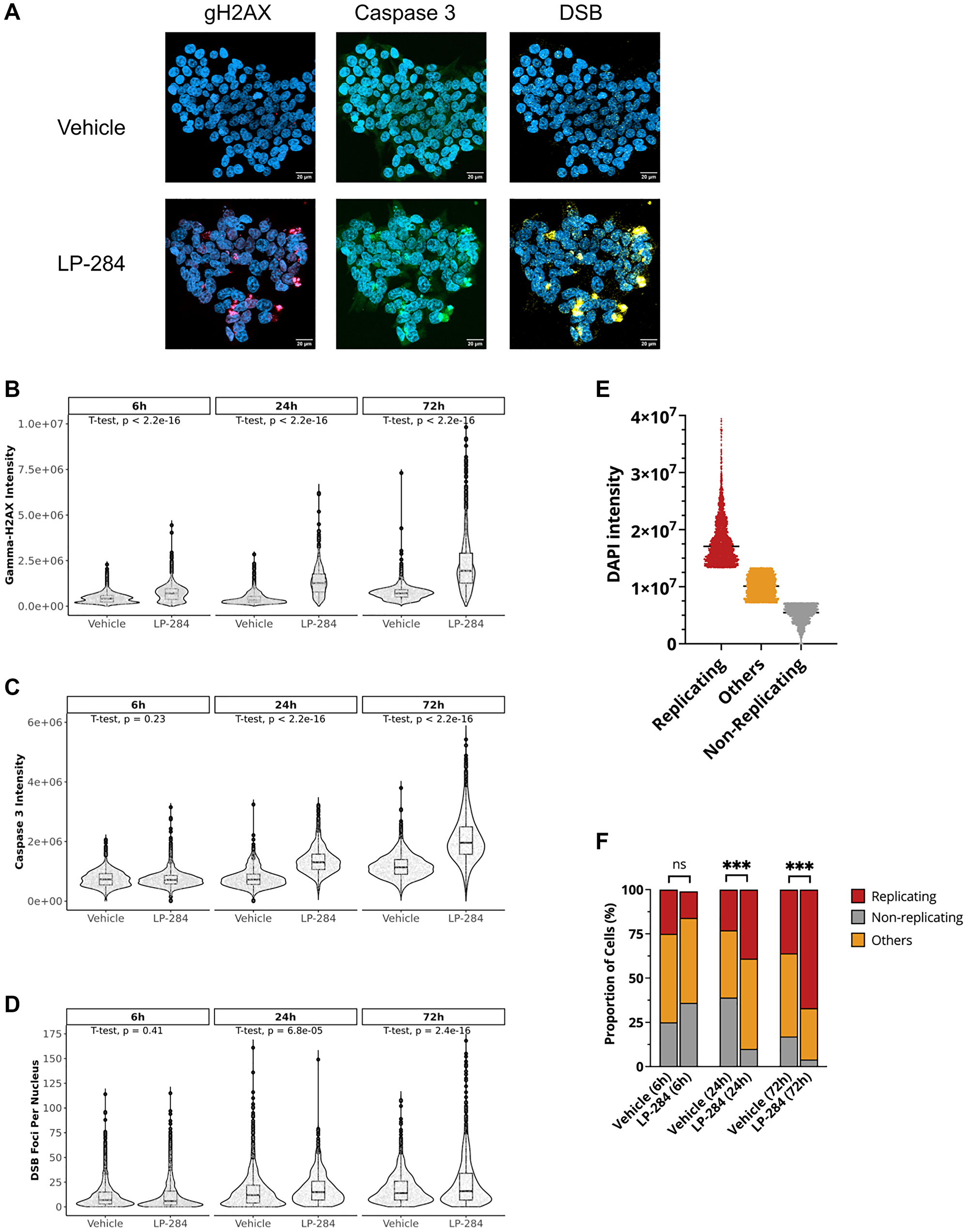 LP-284 induces H2AX phosphorylation, cell apoptosis, and DSBs