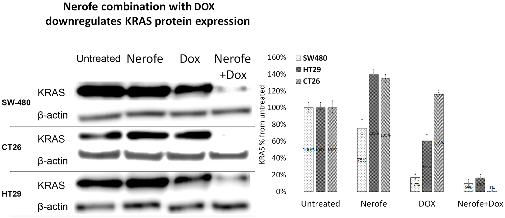 The combination of Nerofe with DOX downregulates KRAS protein expression in mCRC cell lines