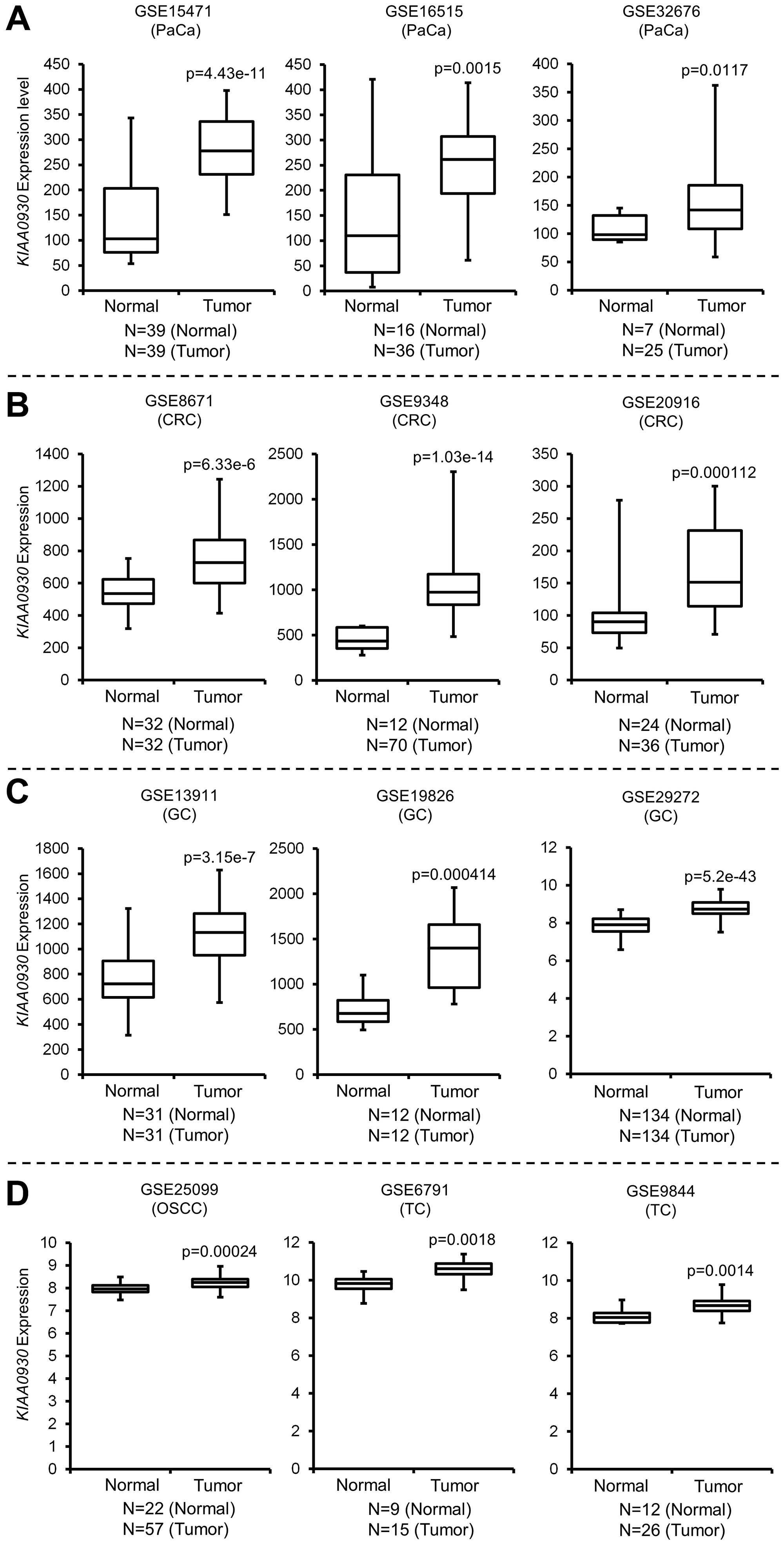 KIAA0930 is upregulated in pancreatic, colorectal, gastric and tongue cancers