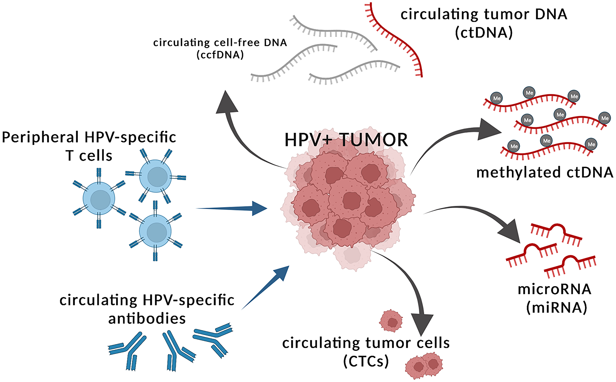 Tumor intrinsic and extrinsic factors in the periphery that can serve as proxies of tumor burden