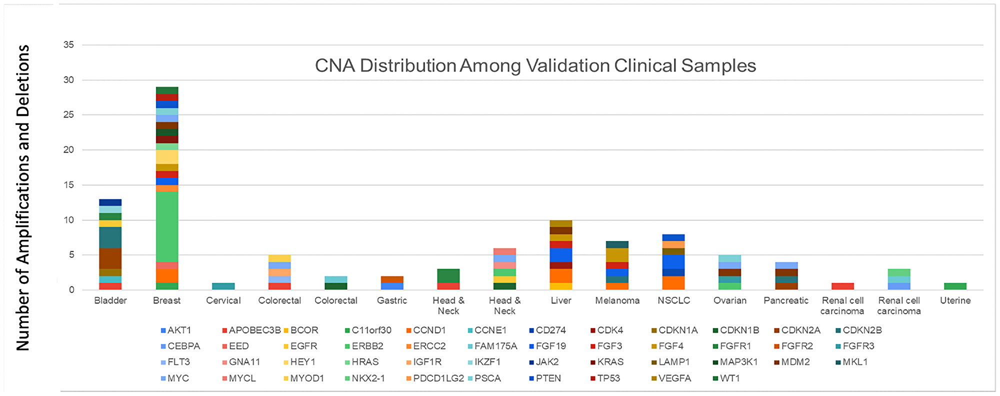 CNA distribution among validation clinical samples