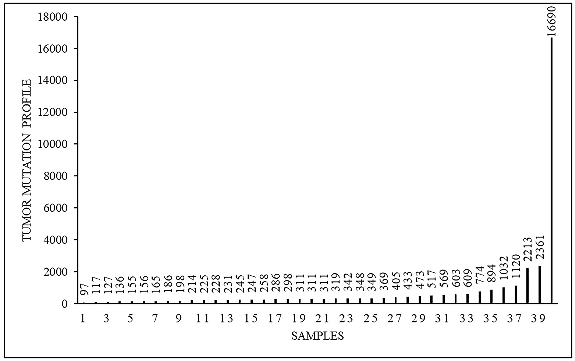 Tumor mutational profile (mut) in 40 analyzed samples